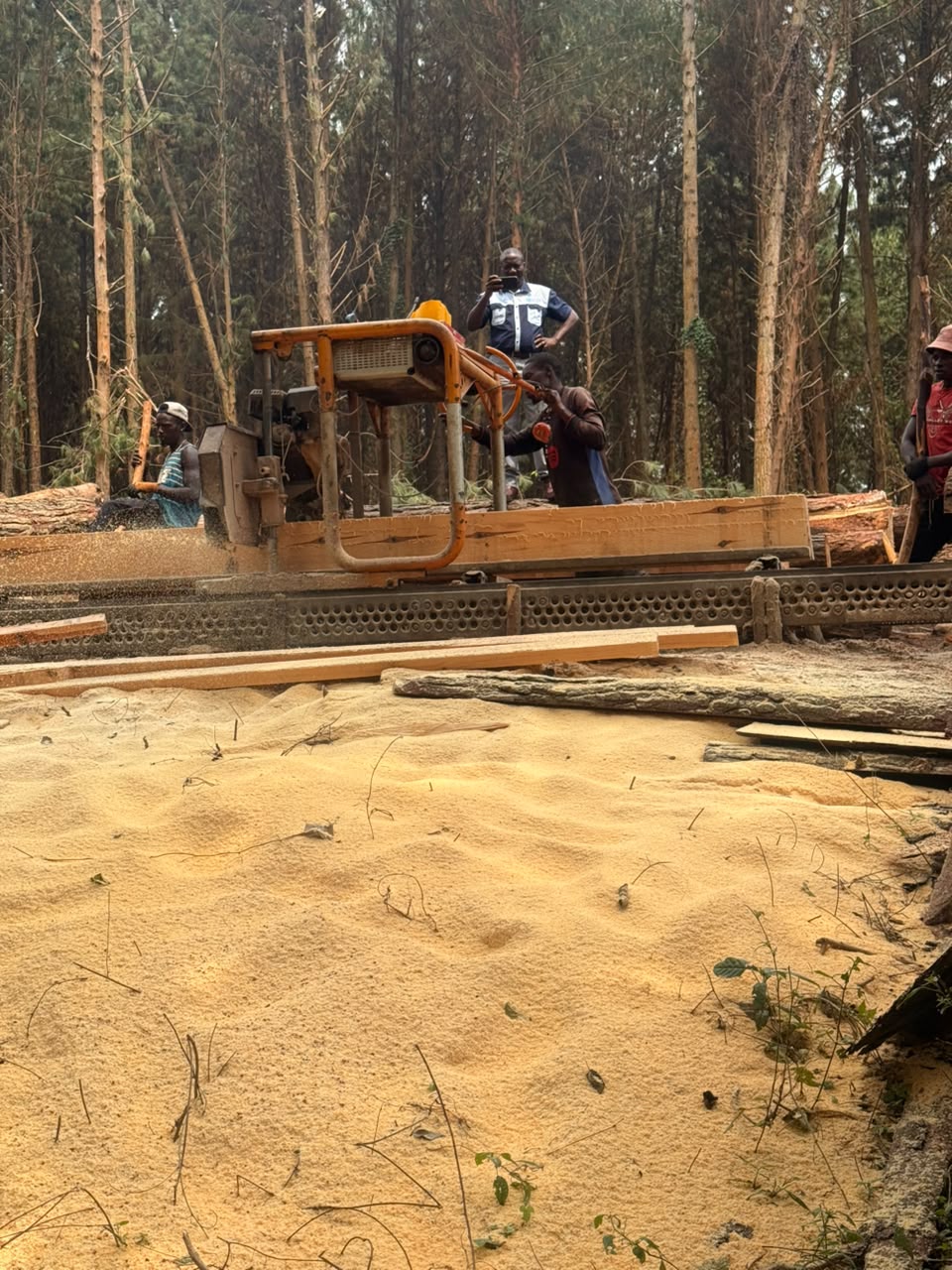 Timber Processing and Site Operations