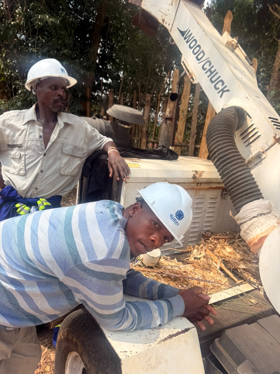 Sustainable Forestry and Timber Operations