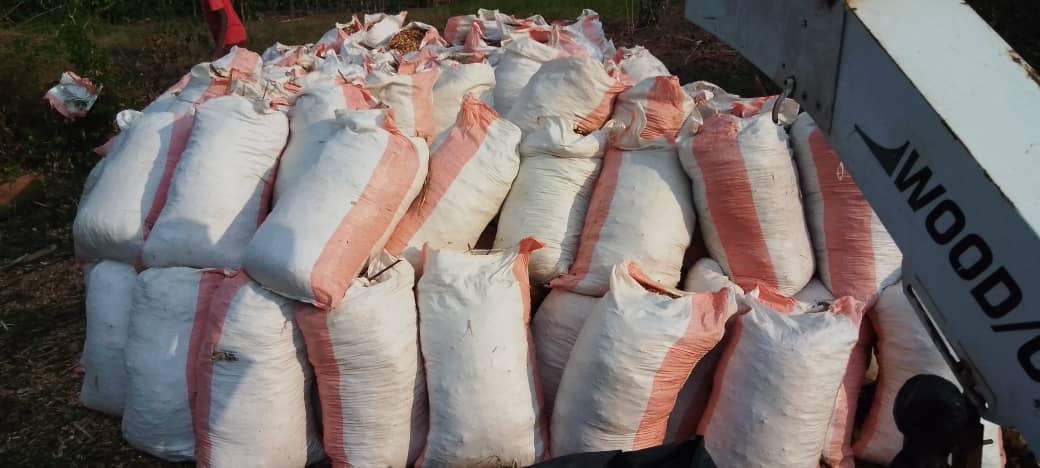 Dimes forestry investment and field operations