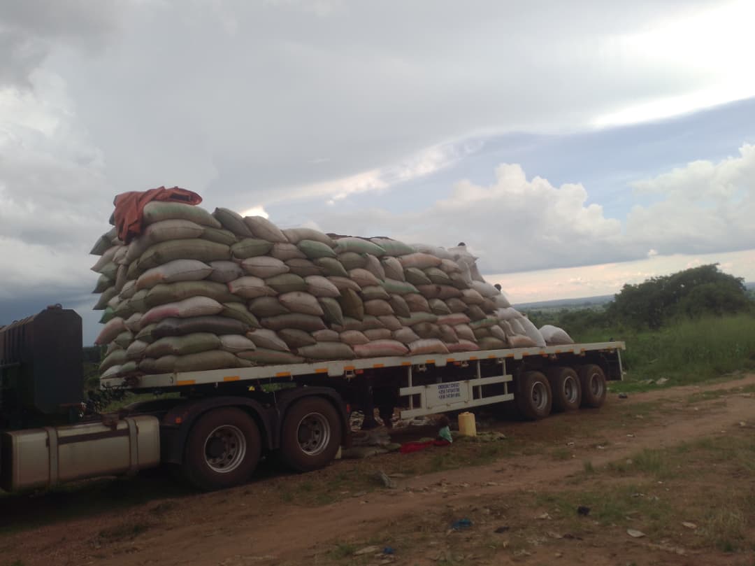 Biomass handling and supply context